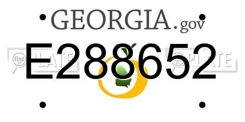 E288652 Georgia License Plate