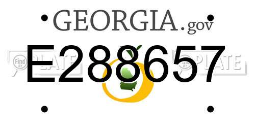 E288657 Georgia License Plate