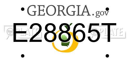 E28865T Georgia License Plate