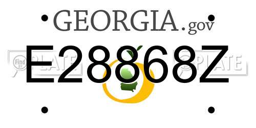 E28868Z Georgia License Plate