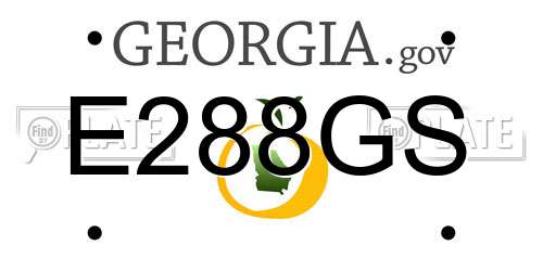 E288GS Georgia License Plate