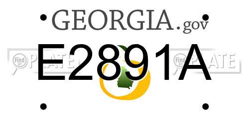 E2891A Georgia License Plate