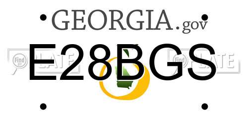 E28BGS Georgia License Plate