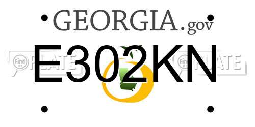 E302KN Georgia License Plate