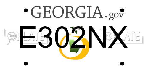 E302NX Georgia License Plate