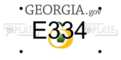 E334 Georgia License Plate