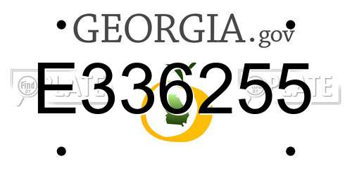 E336255 Georgia License Plate