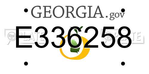 E336258 Georgia License Plate