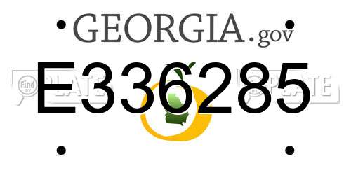 E336285 Georgia License Plate