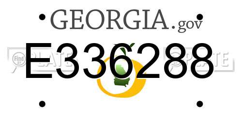 E336288 Georgia License Plate