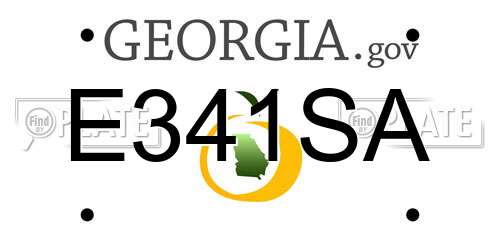 E341SA Georgia License Plate