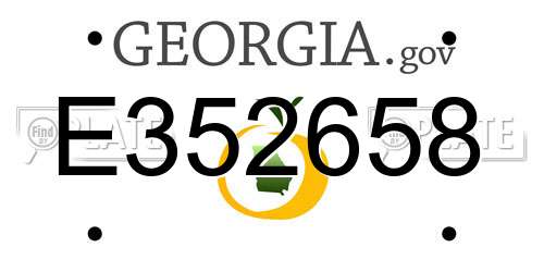 E352658 Georgia License Plate