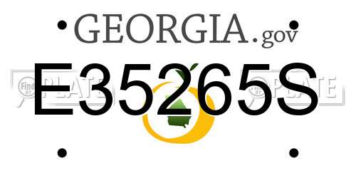 E35265S Georgia License Plate