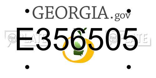 E356505 Georgia License Plate