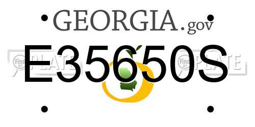 E35650S Georgia License Plate