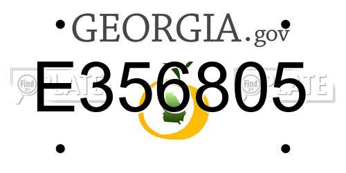 E356805 Georgia License Plate