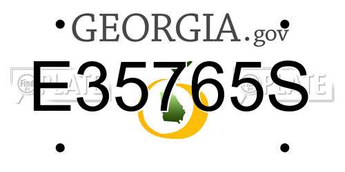 E35765S Georgia License Plate