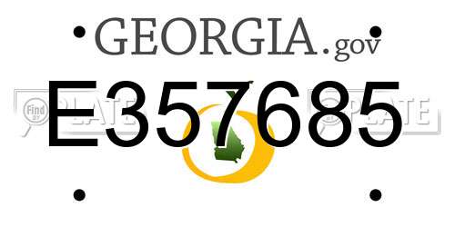E357685 Georgia License Plate