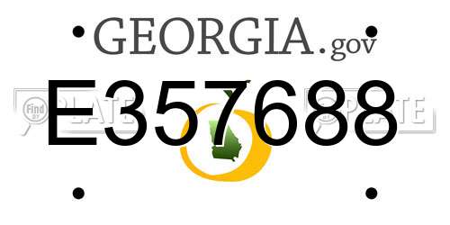 E357688 Georgia License Plate
