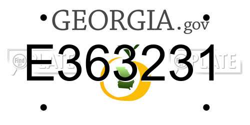 E363231 Georgia License Plate