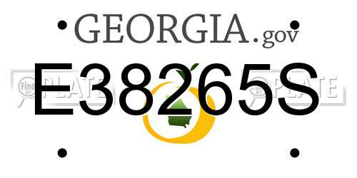E38265S Georgia License Plate
