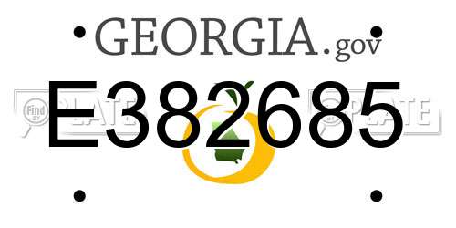 E382685 Georgia License Plate