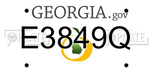 E3849Q Georgia License Plate