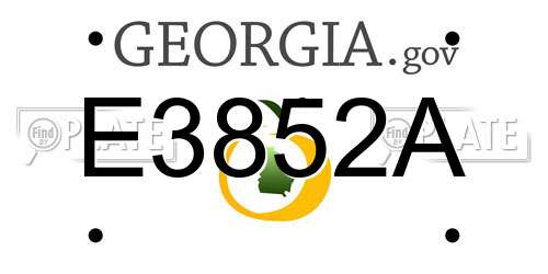 E3852A Georgia License Plate