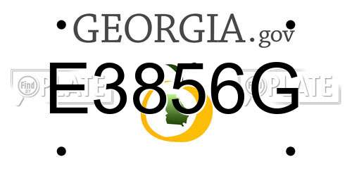 E3856G Georgia License Plate