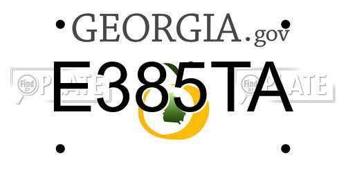 E385TA Georgia License Plate