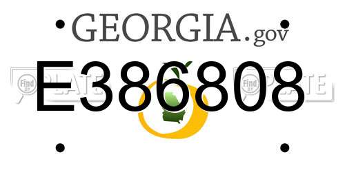E386808 Georgia License Plate
