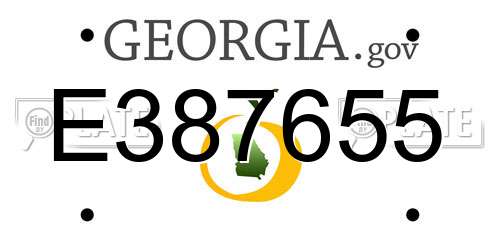 E387655 Georgia License Plate
