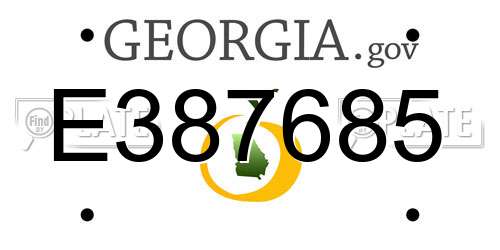 E387685 Georgia License Plate