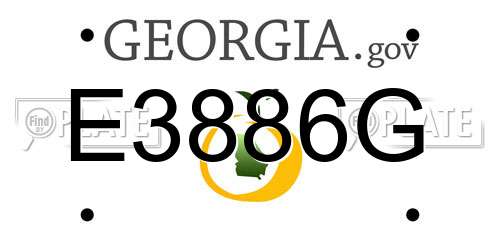 E3886G Georgia License Plate