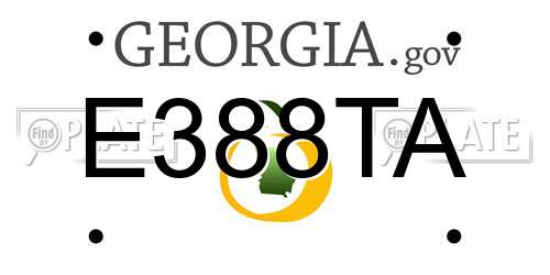 E388TA Georgia License Plate