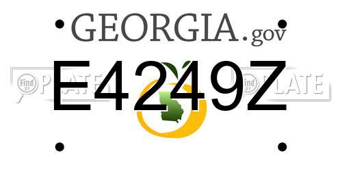 E4249Z Georgia License Plate
