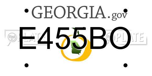 E455BO Georgia License Plate