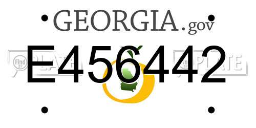 E456442 Georgia License Plate