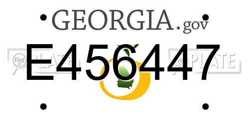 E456447 Georgia License Plate