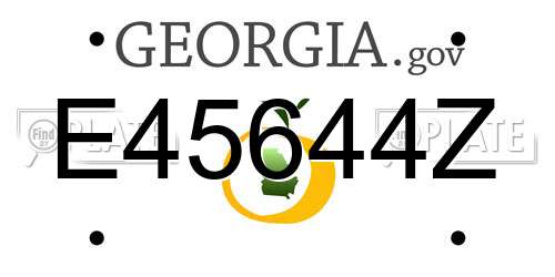 E45644Z Georgia License Plate