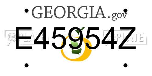 E45954Z Georgia License Plate