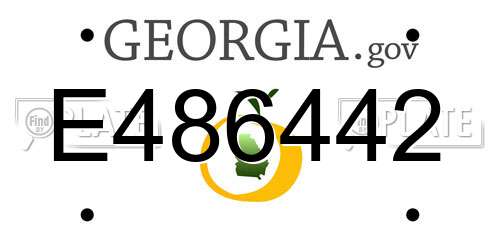 E486442 Georgia License Plate