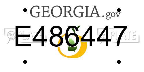 E486447 Georgia License Plate