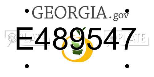 E489547 Georgia License Plate