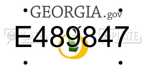 E489847 Georgia License Plate