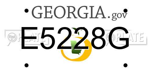 E5228G Georgia License Plate