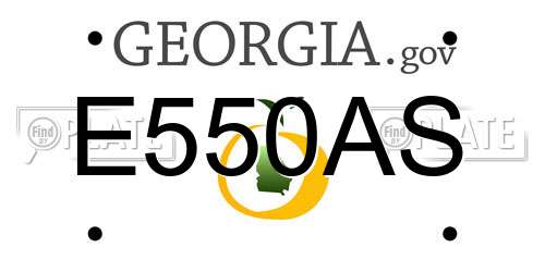 E550AS Georgia License Plate