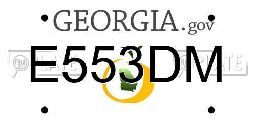 E553DM Georgia License Plate
