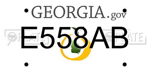 E558AB Georgia License Plate