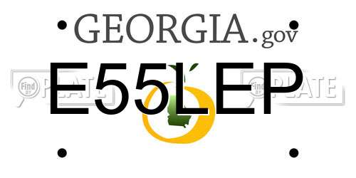 E55LEP Georgia License Plate